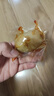 万达香辣鱿鱼仔500g 即食墨鱼仔休闲零食海鲜小吃海味鱿鱼干罐装 实拍图