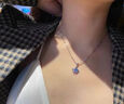 蔓笙项链女四叶草吊坠夏季女生锁骨链情人节生日礼物送女友送妈妈 项链【精美礼盒】 实拍图