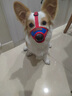 贝意品狗狗嘴套防咬乱叫吃口罩小型犬柯基泰迪柴犬狗套狗罩套嘴巴套用品 实拍图