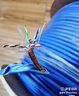 毕亚兹 六类千兆双屏蔽网线 【0.58mm纯铜抗干扰线芯】CAT6类8芯双绞线 网络POE工程家装箱线305米 实拍图