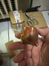 易囍艺 郁金香种球水培盆栽花卉土培室内花绿植盆栽水养植物花卉进口大 橙色郁金香1球+营养液 实拍图