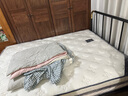 天坛家具铁艺床经典单双人钢木铁床现代环保简约小户型黑白色铁艺婚床 黑床+21cm弹簧床垫 1.5*2.0m 实拍图