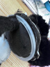 车归沐耳罩保暖耳套护耳罩可折叠耳朵套耳包耳暖耳帽冬季耳捂子 实拍图