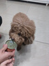 HELLOJOY狗狗零食鸡肉罐头6罐*85g成幼犬拌狗粮湿粮罐头非主食罐头 实拍图