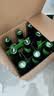 鹅岛（Goose Island）精酿啤酒 IPA 印度淡色艾尔 聚会聚餐 节日送礼 整箱批发 临期 355mL 12瓶 非原箱 上海沈阳北京武汉保至9月29 实拍图