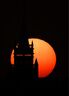 适马（SIGMA）150-600mm F5-6.3 DG DN OS ｜Sports 全画幅无反 超远摄变焦镜头  打鸟拍荷花（索尼卡口） 实拍图