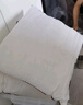 优印家用枕芯单人午睡沙发客厅靠垫内胆睡眠头芯45*45cm 实拍图