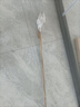 核桃树苗美国碧根果树苗嫁接苗长寿果庭院盆栽地栽果树苗当年结果南方北方种植 5年苗（当年结果） 其它 实拍图