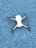 大疆（DJI） Mini 4K 超高清迷你航拍无人机 新手入门级飞行相机 长续航遥控飞机 三轴机械增稳数字图传 Mini4K双电+一年版随心换【送原装桨叶保护罩】 套餐二：128g 4K高速卡+读卡器 实拍图