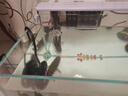 YEE鱼缸灯led灯水草灯防水水族箱节能防溅水支架灯水草灯专用观赏灯 四排【16瓦】灯长58cm（58-67cm鱼缸） 实拍图