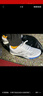 adidas ADIZERO BOSTON 9马拉松boost专业竞训跑鞋男阿迪达斯 白色/银色/蓝色   44.5 实拍图