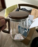忆壶茶玻璃茶壶茶水分离壶玻璃泡茶壶办公室泡茶杯玻璃茶具功夫茶壶 辰安壶500ML 实拍图