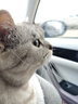派可为猫抓板猫窝特大圆形剑麻猫抓板磨爪猫爪板耐用耐磨瓦楞纸猫咪玩具 【致臻款L型】 送铃铛球 70cm 特大号 实拍图