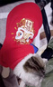 派乐特猫咪衣服拜年服冬季防掉毛新年宠物狗狗小型犬加绒保暖过年圣诞S 实拍图