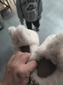 幸福玛丽（Cheerful Mario）儿童棉拖鞋冬季宝宝家居棉鞋男童女童冬款小孩可爱兔子包跟毛拖鞋 实拍图