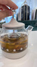 膳魔师（THERMOS） 迷你养生壶办公室煮茶器电水壶恒温电热水壶玻璃花茶壶养生杯 礼物 EHA-1602E -G 0.55L 实拍图