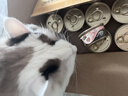 希宝猫罐头猫主食罐头鸡肉牛肝配方进口成猫宠物慕斯罐 70g*24罐 实拍图