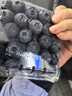兄盟鲜果云南蓝莓当季限量钻石款蓝梅新鲜水果 当季限量12盒18mm+ 实拍图