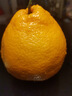 生活＆好管家 四川春见耙耙柑新鲜水果应季橘子现摘孕妇水果整箱桔子橘子 优选级市场果 8.5-9斤【单果80-90mm】净重8斤 实拍图