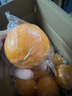 江西赣南早脐橙整箱当季新鲜早橙子榨汁水果礼盒皮薄多汁节日团购 【血橙】净重9斤单个150g+ 实拍图