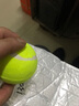 狗狗玩具球自嗨解闷神器宠物边牧金毛柯基耐咬球训练磨牙网球橡胶 绿色1个 全适用 实拍图