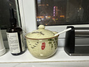 屋里屋外厨房调料盒陶瓷调味罐组合套装家用盐罐佐料收纳盒糖罐油泼辣椒罐 拂柳款-单罐带勺子 实拍图