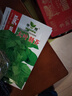 河南大叶荆芥种子菜籽阳台盆栽蔬菜种子农家四季播种荆菜春播春季 大叶荆芥种子【2包 约2千粒】 实拍图
