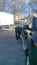 锦湖轮胎KUMHO汽车轮胎 225/60R17 99H KL21 配套ix35/智跑/GS5 实拍图