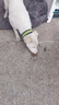 狼孩儿狗粮40斤20kg德牧成犬幼犬牧羊犬大型中小型犬10kg通用型20斤5kg 10kg主粮(牛肉味20斤) 实拍图