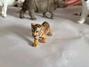 思乐（Schleich S）仿真动物模型 老虎狮子狼豹白虎猞猁男女孩儿童玩具生日礼物3+ 白色老虎幼崽14732 实拍图