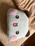 室品（roomthing）一二布布大脑袋毛绒啾啾叫玩具抱枕布娃娃玩偶公仔可爱礼物女靠枕 一二【正版IP授权】 大头抱枕+无纺布袋 实拍图