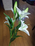 花艺赫家饰仿真花百合高枝装饰花假花绢花客厅摆设餐桌高档花艺干花花束摆件 100cm白色手感百合花【一支】 实拍图