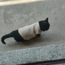 猫咪衣服保暖羊羔毛马甲背心秋冬款泰迪博美宠物冬装可爱韩版衣服 羊羔绒马甲-杏色 XL码（约10-11斤） 实拍图