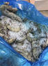虾有虾途国产青岛大虾白虾青虾基围虾鲜虾冷冻生鲜虾类鲜活特大海捕整箱装 14-16厘米 7.2斤(净重) 实拍图