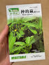 蔬菜种子大全黄瓜菠菜小白菜花卉四季蔬菜简单种植菜园阳台种植 美农春秋黄瓜种子50粒 实拍图
