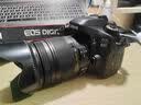 佳能（Canon）EOS 60D 70D 80D 77D 90d 学生拍照视频录像二手单反相机 80D 单机 99新 实拍图