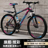 金武端自行车成人山地车公路赛车单车骑行变速超轻越野中学生初中青少年 旗舰版-辐条轮-炫彩蓝 26寸30速 实拍图
