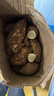 静益乐源商薯红薯 白心红薯 板栗红薯 农家地瓜 新鲜蔬菜 5斤中大果 实拍图