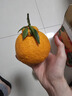 生活＆好管家四川丑橘不知火特大果新鲜水果桔橘子丑柑丑八怪整箱 9-10斤【家庭装】净重8.5斤 果径85mm+【特大果】 实拍图