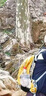 艾王品牌新款户外骑行背包25L悬浮登山包双肩包超轻旅行徒步双肩背包 新天澄黄25L 25升（赠防雨罩+头盔网+手机包） 实拍图