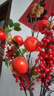 九月生仿真柿子年宵花树枝摆件新年过年装饰假花石榴红果客厅摆设 实拍图
