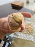 九分馋新鲜活珠子13天熟毛蛋活珠子香辣五香毛鸡蛋自选开袋即食鸡胚蛋 香辣活珠子40枚（含蘸料） 实拍图
