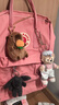 FJALLRAVEN北极狐双肩包kanken男女户外大容量书包电脑包运动旅行背包23510 312粉色 16L【可容纳14寸笔记本电脑】 实拍图