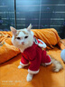 阿莫尔猫咪衣服保暖小猫猫衣服狗狗衣服过年冬天德文布偶猫蛇年宠物服装 福字醒狮唐装(连帽两脚衣) XL (具体参考身长和胸围) 实拍图