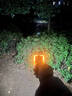 Warsun 沃尔森 G7夜钓头灯帽夹式户外超长续航100小时钓鱼专用头戴式强光超亮感应帽夹灯 G7棕【配能量仓】续航120h/900LM/双光 实拍图