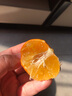 正宗德庆皇帝柑新鲜水果贡柑茂谷10斤广东当季桔子媛爱橘柑沃大果 带箱10斤装中大果 实拍图