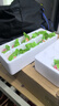 岽鲜活珠子新鲜13天五香香辣味开袋即食毛蛋活珠子鸡胚蛋熟钢化蛋鸡蛋 五香活珠子30枚1200g 实拍图