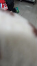 润丝顺ipm漂唇后的红唇素pcd焕彩红唇乳不沾杯纹绣专用纹唇修复固色 GABRY红唇素 橘红(偏玫) 滋润型 实拍图