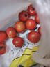 京鲜生＆哪咤豆豆 粉番茄净重4.5斤单果100g+约12-18枚 源头直发 实拍图