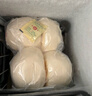 崂味道山东王哥庄大馒头正宗铁锅馒头胶东花饽饽馍馍北方面食面点 10个地瓜面包(槐花蛤蜊猪)1000g 实拍图